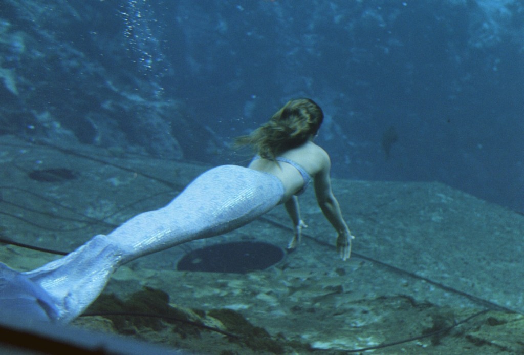 Are Mermaids Real? 5 Undeniable Cases of Mermaid Sightings