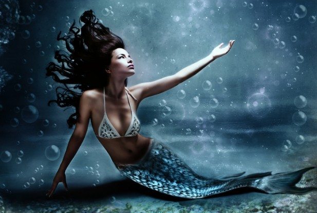 Image result for Mermaids