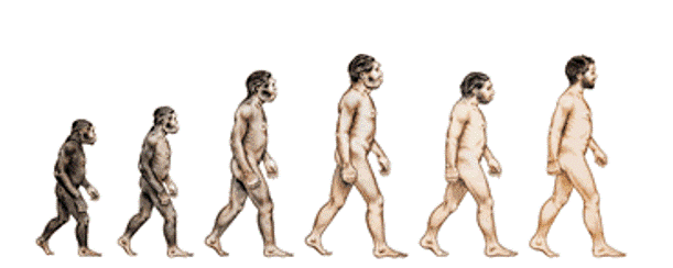 homo-Evolution - facts about africa
