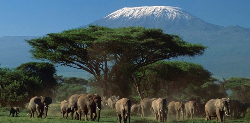 10 Spectacular Kenya Safari Holiday Destinations and Parks