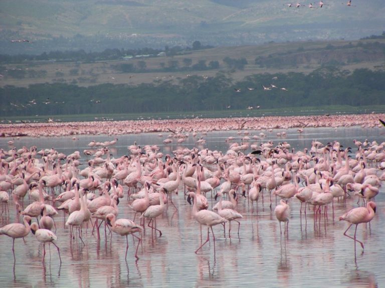 10 Interesting Places To Visit In Kenya