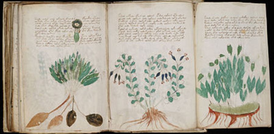 Voynich Manuscription