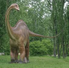 Diplodocus