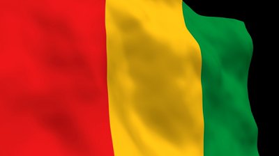Guinea national flag - corrupt countries in Africa