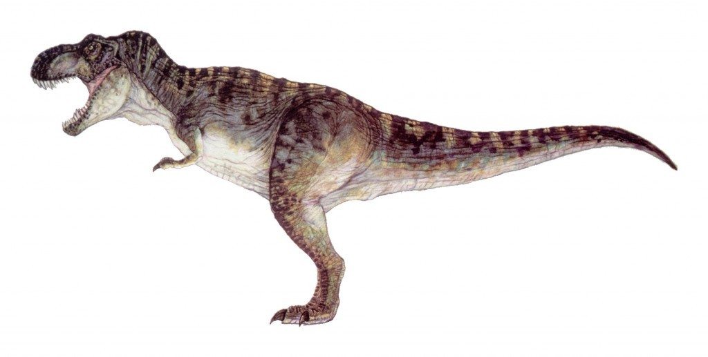 Tyrannosaurus Rex - dinosaur facts