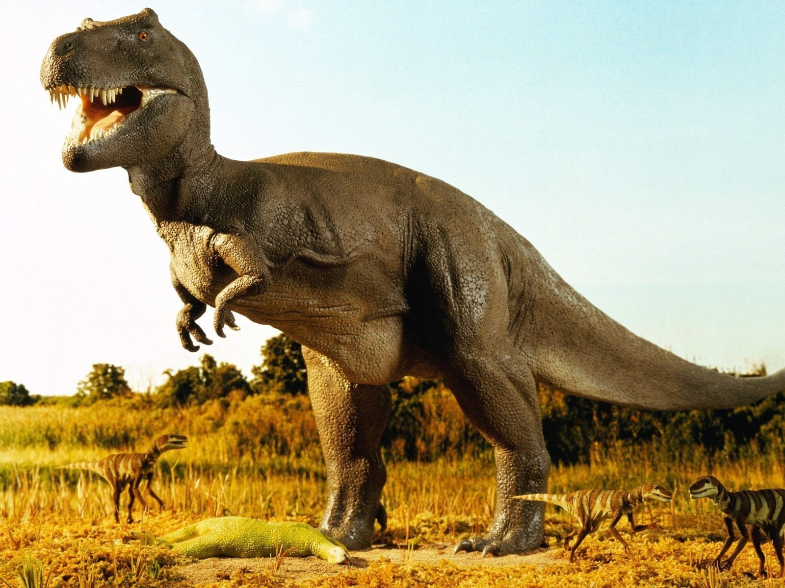 20 Interesting Dinosaur Facts - Answers Africa