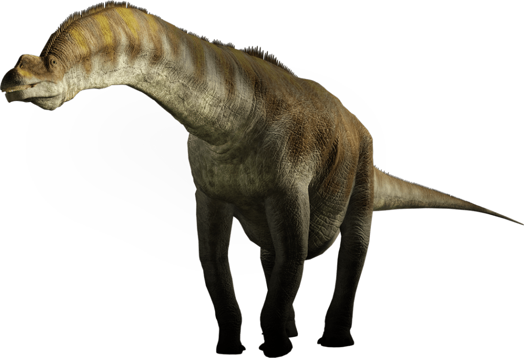 small sauropod