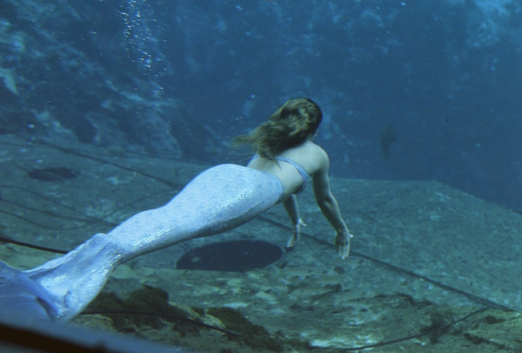 Are Mermaids Real Cases Of Mermaid Sightings-3630