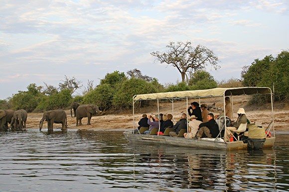 Chobe National Park, Botswana