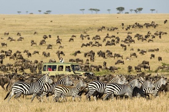 Serengeti National Park, Tanzania