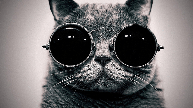 Superstitious Beliefs