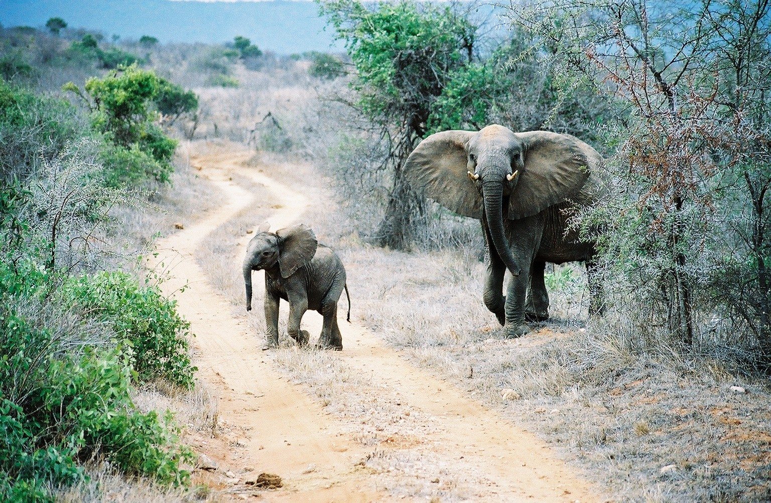 popular places to visit in kenya