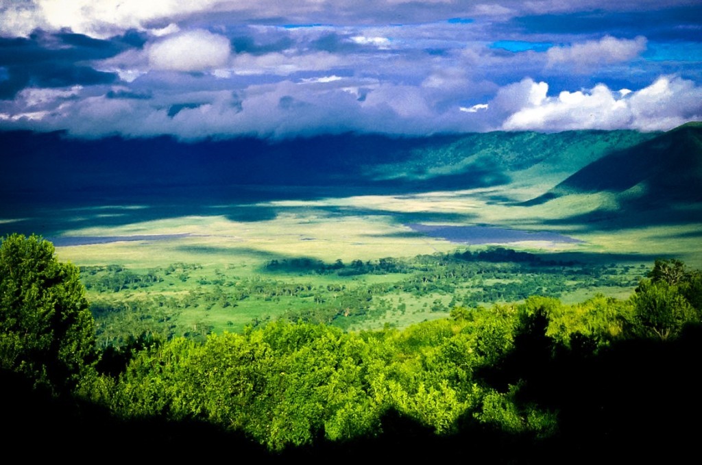 Ngorongoro Crater