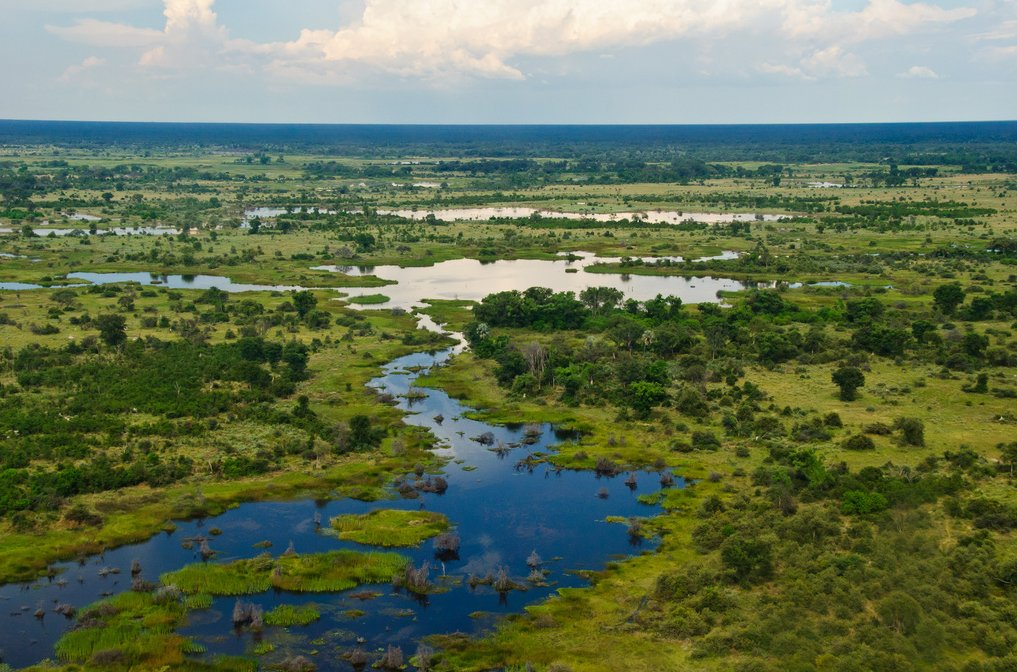 Okavango Delta