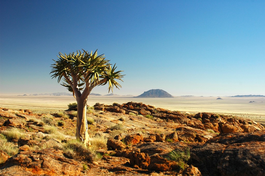 The Karoo Desert