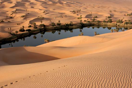 The Libyan Desert