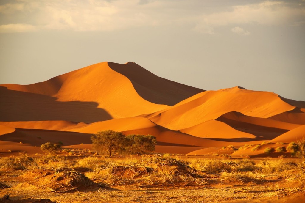 The Namib