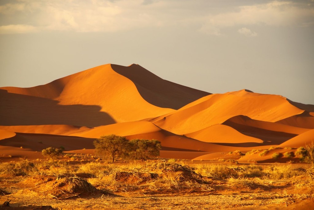 What Desert Is Located In Northern Africa