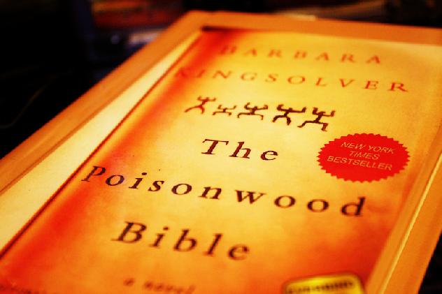 poisonwood_bible