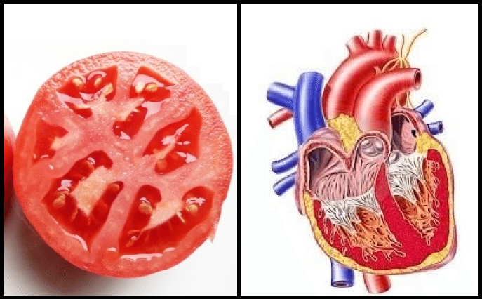 Картинки по запросу The fruits and vegetables are the same as any organ