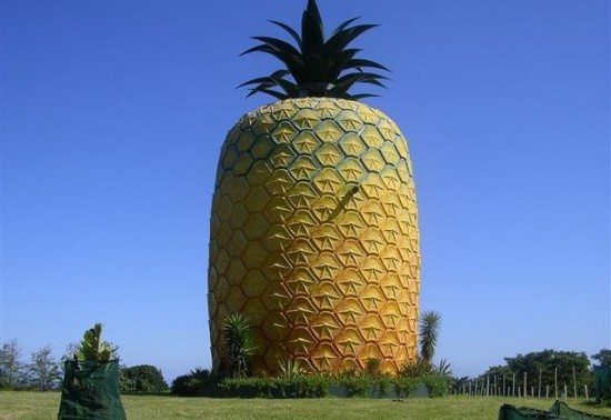 pineapple building