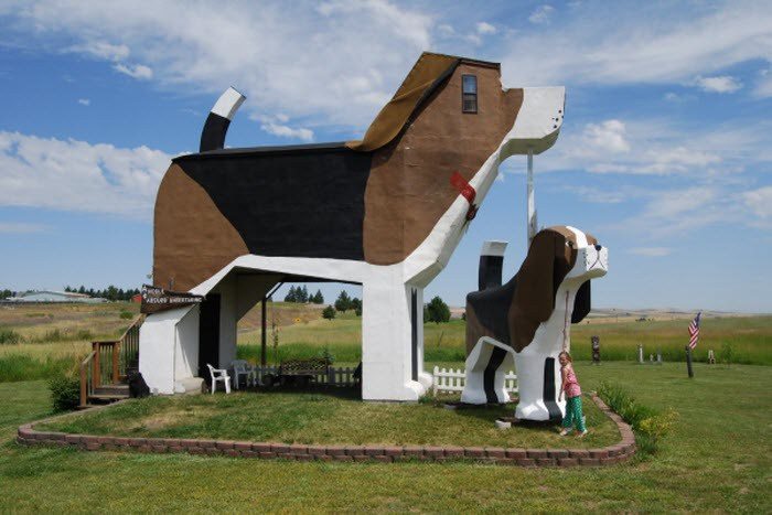 Dog-Shaped-Building