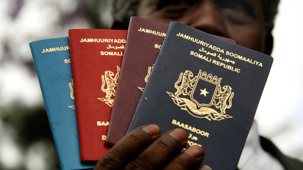 African passports
