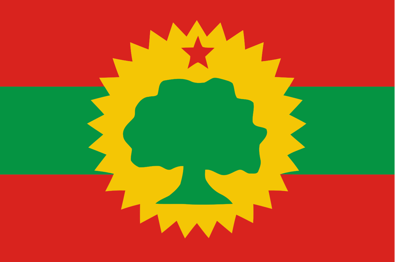 Oromo flag