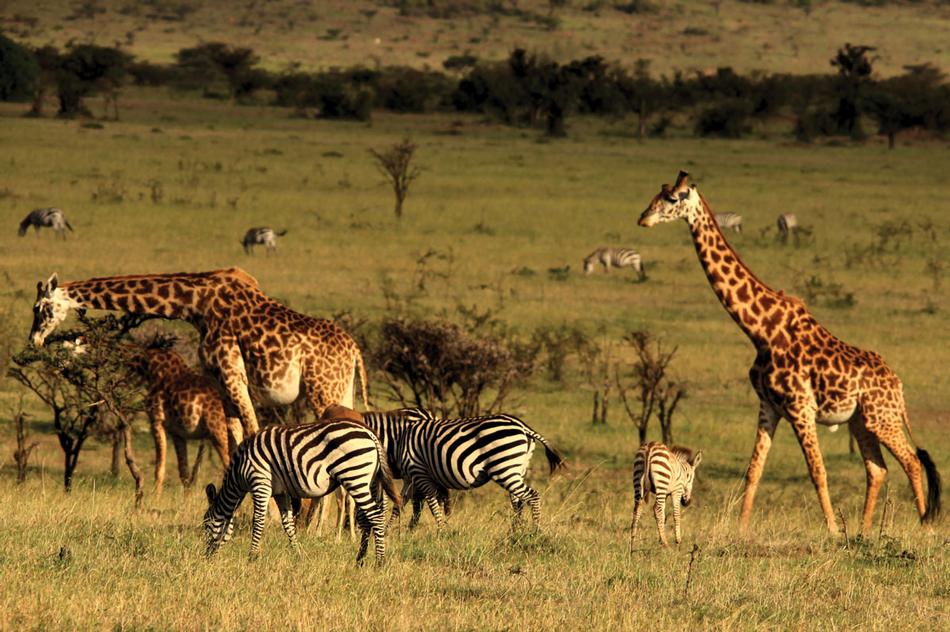 10 Coolest African Spots
