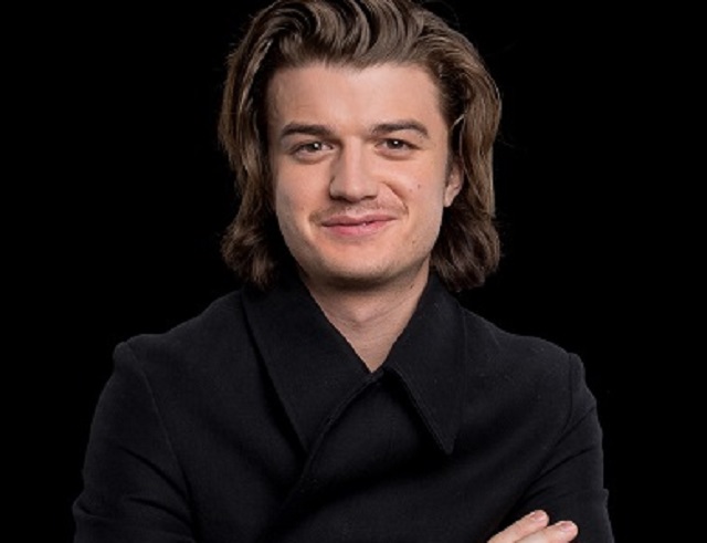 Who Is Joe Keery, Is He Related to Ben Schwartz and Who Is His Girlfriend?