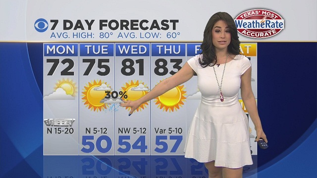 lisa villegas meteorologist