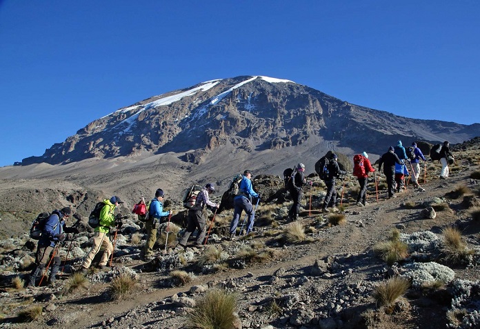 Mouny Kilimanjaro