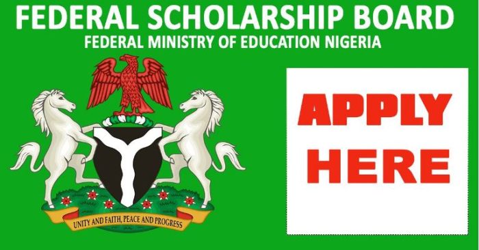 phd scholarship in nigeria 2023