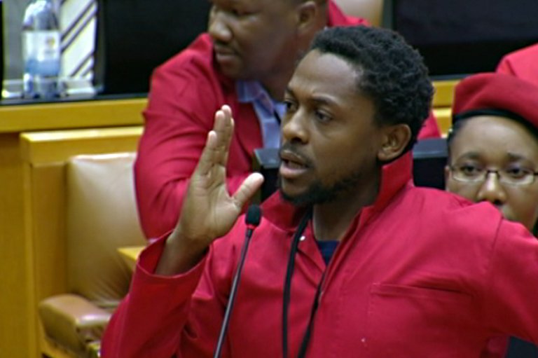 At What Age Did Mbuyiseni Ndlozi Join Politics and How Educated Is He?