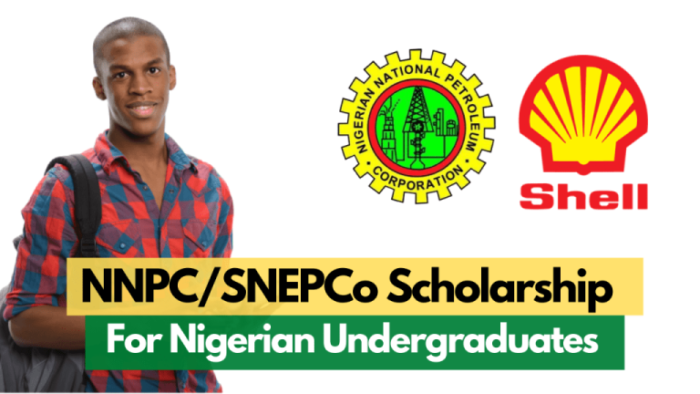 Scholarships in Nigeria