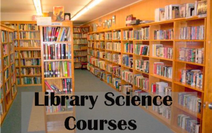 courses to study in Nigeria